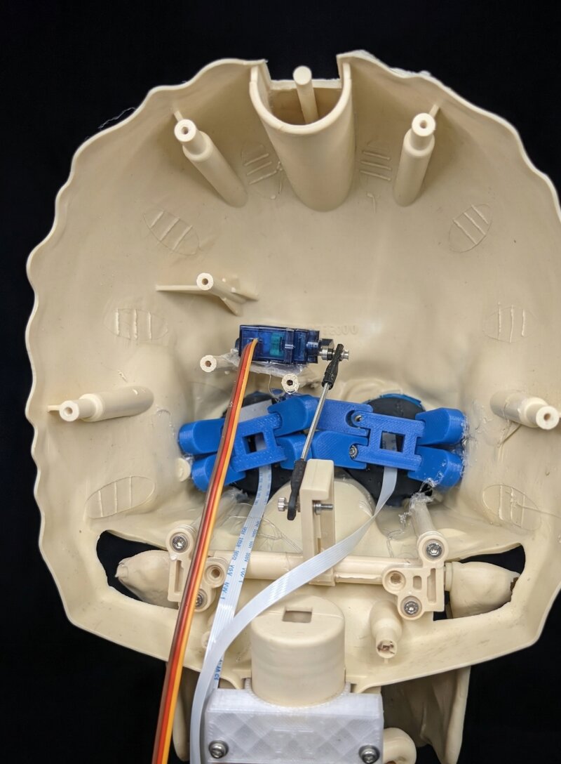 Inside view of skull showing servo mechanism and wiring
